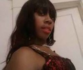 New York Escort Sugar2738   Adult Entertainer in United States, Female Adult Service Provider, American Escort and Companion.